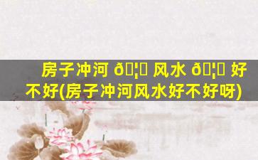 房子冲河 🦄 风水 🦋 好不好(房子冲河风水好不好呀)